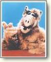 Buy the Alf  - Photo